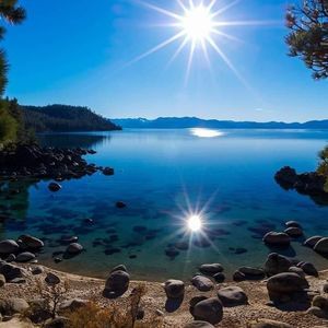 Meet your Posher, Tisha